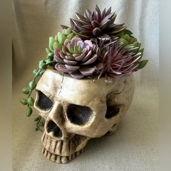Halloween Succulent Skull Spooky Planter - Picture 1 of 8